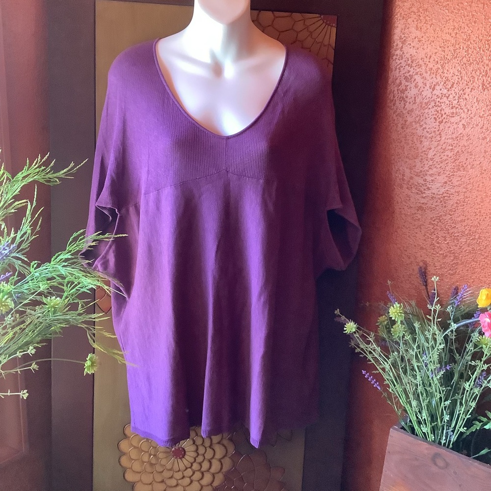 Coldwater Creek Size L Purple Dolman Sleeve V Neck Tunic